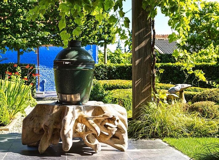 Guest house 160202 - Bed and Breakfast East Flanders - B&amp;B Vinedo