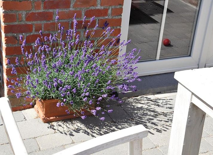 Verblijf 1710101 - Bed and breakfast West-Vlaanderen - B&B Pierre-Marie