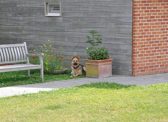 Verblijf 1710101 - Bed and breakfast West-Vlaanderen - B&B Pierre-Marie