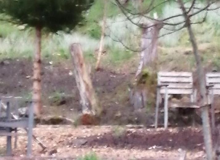 Guest house 210911 - Bed and Breakfast Luxembourg - B&amp;B L'ourthe