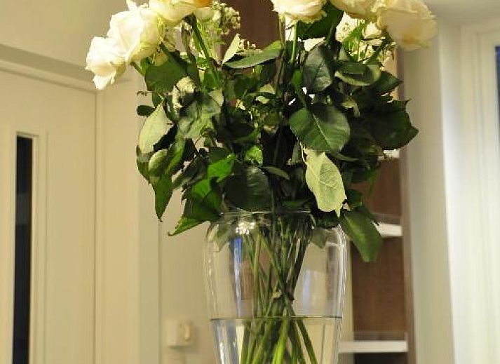 Unterkunft 270101 - Appartement Westflandern - Hotel Brasserie De Beiaard