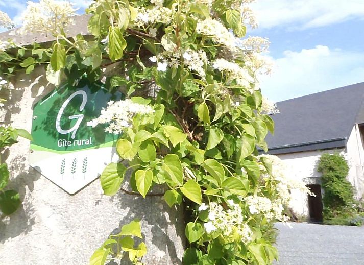 Unterkunft 3270902 - Ferienhaus Luxemburg - Gites-Clairiere-Ardenne