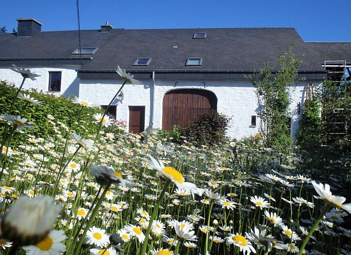 Unterkunft 3270902 - Ferienhaus Luxemburg - Gites-Clairiere-Ardenne