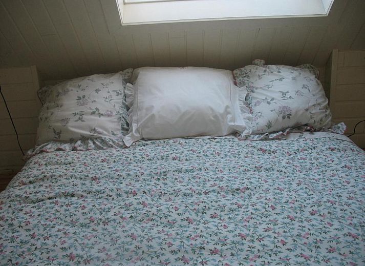 Guest house 370101 • Bed and Breakfast West Flanders • B&B Greenhouse 37