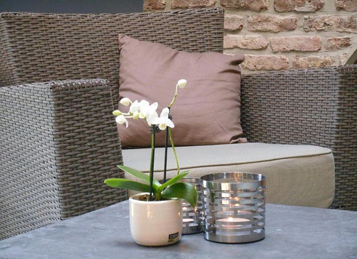 Guest house 540602 - Bed and Breakfast Liege - B&B A l'Ombre du Tilleul
