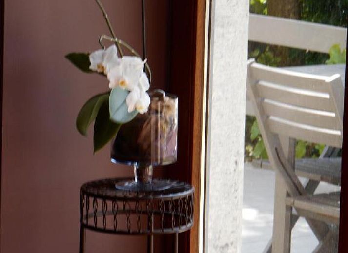Guest house 540602 - Bed and Breakfast Liege - B&B A l'Ombre du Tilleul