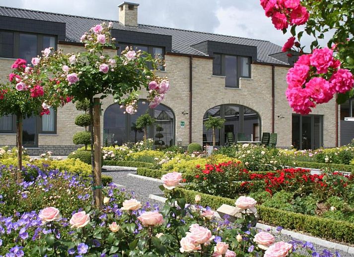 Guest house 610202 • Bed and Breakfast East Flanders • B&B La Vie En Roses
