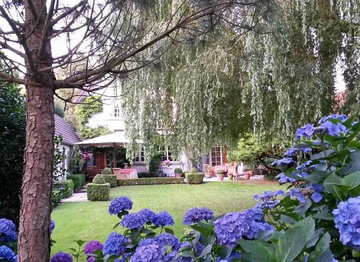 Guest house 640201 - Bed and Breakfast East Flanders - B&B Willow Lodge