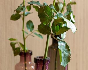 Guest house 0101201 - Apartment West Flanders - Apartments Breydelhof