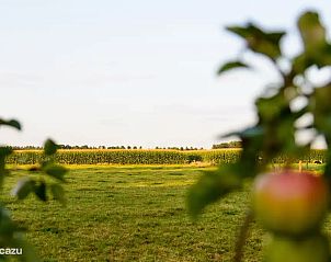 Unterkunft 010135 - Appartement Westflandern - Het Veldzicht