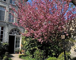 Unterkunft 010173 - Appartement Westflandern - Hotel Patritius