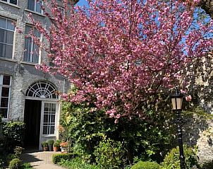 Unterkunft 010173 - Appartement Westflandern - Hotel Patritius