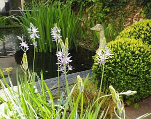 Unterkunft 010189 - Appartement Westflandern - Flanders Hotel