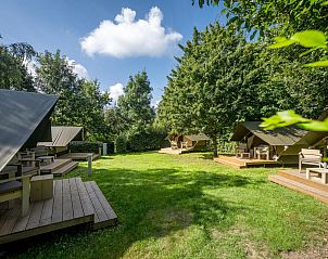 Unterkunft 010226 - Zelthaus Westflandern - Glampingtent XS