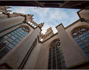 Verblijf 010493 - Vakantiewoning Antwerpen - Kathedraallogies Drie Koningen