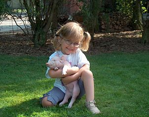 Unterkunft 010814 - Ferienhaus Westflandern - Reutelhoeve
