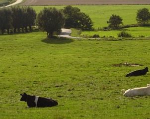 Unterkunft 010814 - Ferienhaus Westflandern - Reutelhoeve