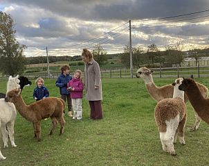 Unterkunft 010828 - Ferienhaus Westflandern - De Sint-Antoniushoeve