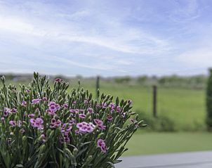 Unterkunft 011005 - Ferienhaus Westflandern - Vakantiehuis Dagmar with parking