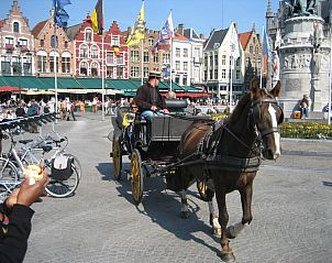 Guest house 011045 - Holiday property West Flanders - 99915