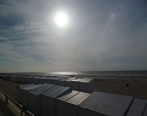 Guest house 011045 - Holiday property West Flanders - 99915