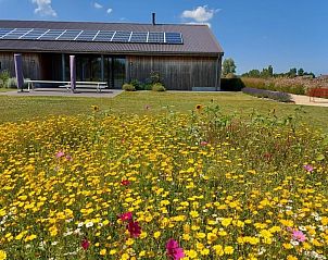 Unterkunft 0110701 • Ferienhaus Westflandern • AKKERNEST (max. 24 personen) 