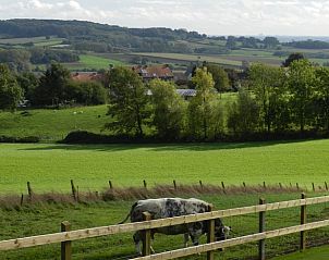 Guest house 0110703 - Holiday property West Flanders - Vakantiehuisje in Westouter