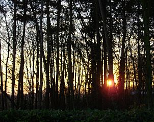 Guest house 0110703 - Holiday property West Flanders - Vakantiehuisje in Westouter