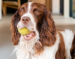 Unterkunft 0110711 - Ferienhaus Westflandern - Vakantiehuisje in Westouter