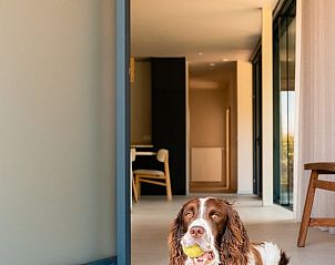 Guest house 0110716 - Holiday property West Flanders - Huisje in Heuvelland