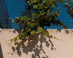 Guest house 0110718 - Holiday property West Flanders - Vakantiehuis in Heuvelland