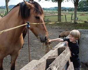 Guest house 0110810 - Holiday property West Flanders - kwakkelnest