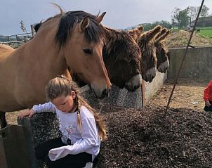 Guest house 0110810 - Holiday property West Flanders - kwakkelnest