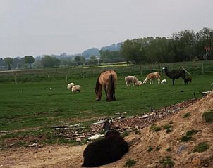 Guest house 0110810 - Holiday property West Flanders - kwakkelnest