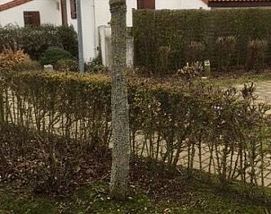 Unterkunft 0110906 - Ferienhaus Westflandern - de haan vakantiewoning V28