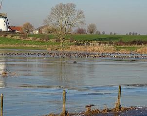 Unterkunft 011204 - Ferienhaus Westflandern - Vakantiehuisje in Beveren-aan-den-IJzer