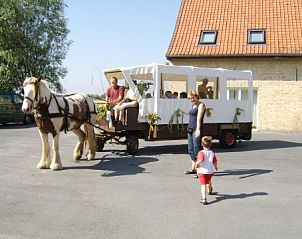 Unterkunft 011301 - Ferienhaus Westflandern - vakantiehoeve briesland