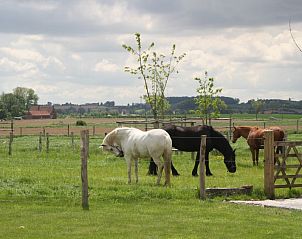 Verblijf 0114805 - Vakantiewoning West-Vlaanderen - PassaDia