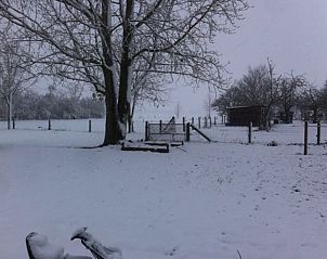 Unterkunft 0115003 - Ferienhaus Westflandern - Vakantiehuis in Pittem