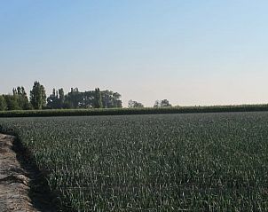 Unterkunft 0115003 - Ferienhaus Westflandern - Vakantiehuis in Pittem
