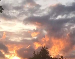 Unterkunft 0115003 - Ferienhaus Westflandern - Vakantiehuis in Pittem