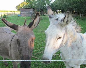 Unterkunft 0115003 - Ferienhaus Westflandern - Vakantiehuis in Pittem