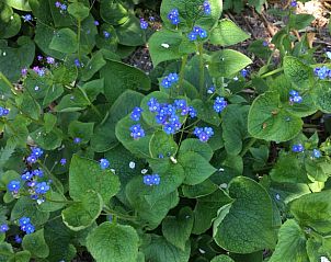 Unterkunft 0115003 - Ferienhaus Westflandern - Vakantiehuis in Pittem