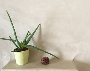 Unterkunft 0115003 - Ferienhaus Westflandern - Vakantiehuis in Pittem