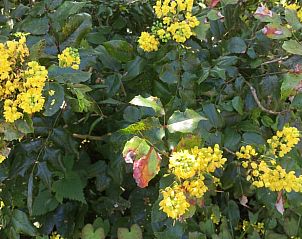 Unterkunft 0115003 - Ferienhaus Westflandern - Vakantiehuis in Pittem