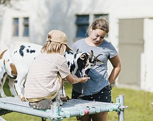 Unterkunft 0115903 - Ferienhaus Westflandern - Boerderijvakantie 't Donderswal