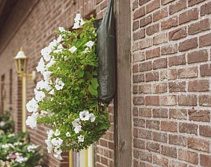 Guest house 011603 - Bed and Breakfast West Flanders - landgoed argiliere