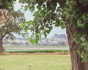 Guest house 011603 - Bed and Breakfast West Flanders - landgoed argiliere