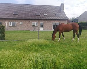 Verblijf 0123404 - Vakantiewoning West-Vlaanderen - Vakantiehuis in Ingooigem/Anzegem