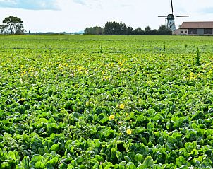 Guest house 0127804 - Holiday property West Flanders - Vakantiehuis in Beveren aan de ijzer